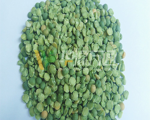 <a href=http://tmall163.cn/product/8/ target=_blank class=infotextkey>豌豆脫皮機(jī)</a>